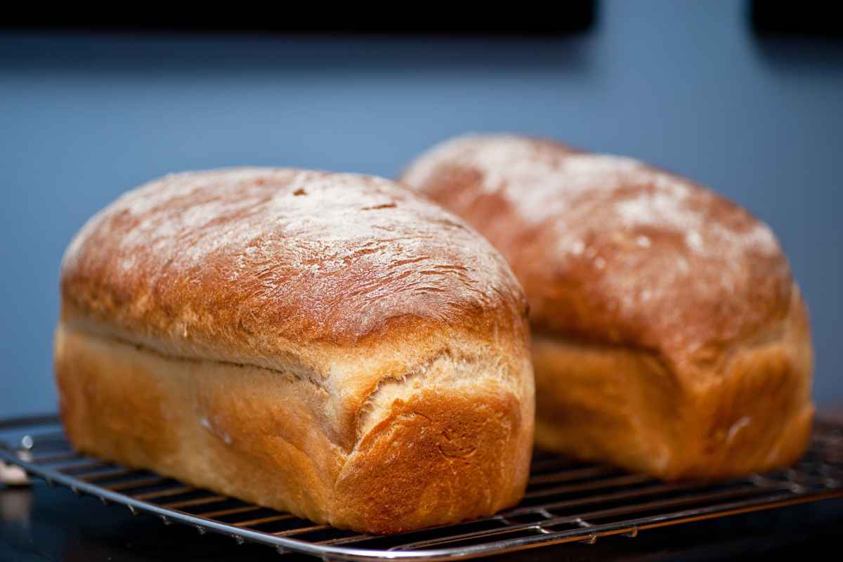 Massa de Pão muito Fofo e Fácil de Fazer