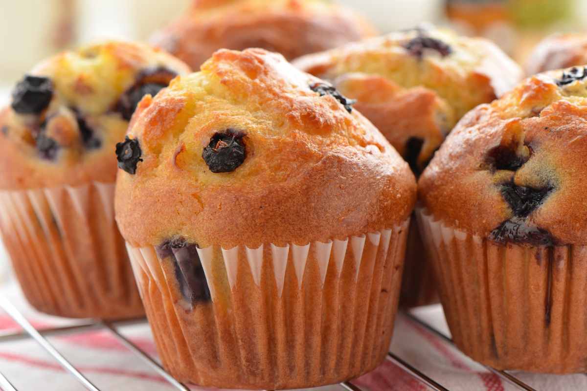 Muffin fofinho com Gotas de Chocolate