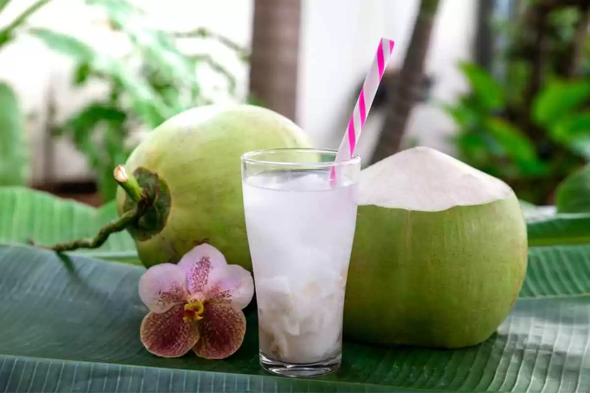 Batida de Coco