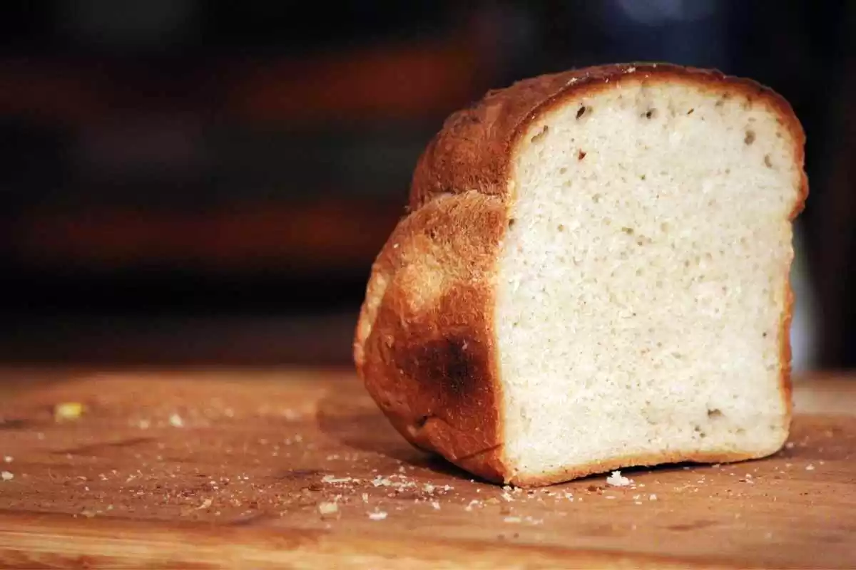 Pão de Tapioca sem Trigo de Liquidificador