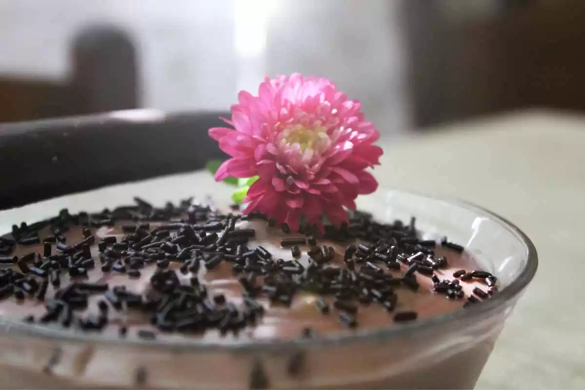 Pudim de Chocolate na Travessa