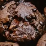 Muffin de Chocolate